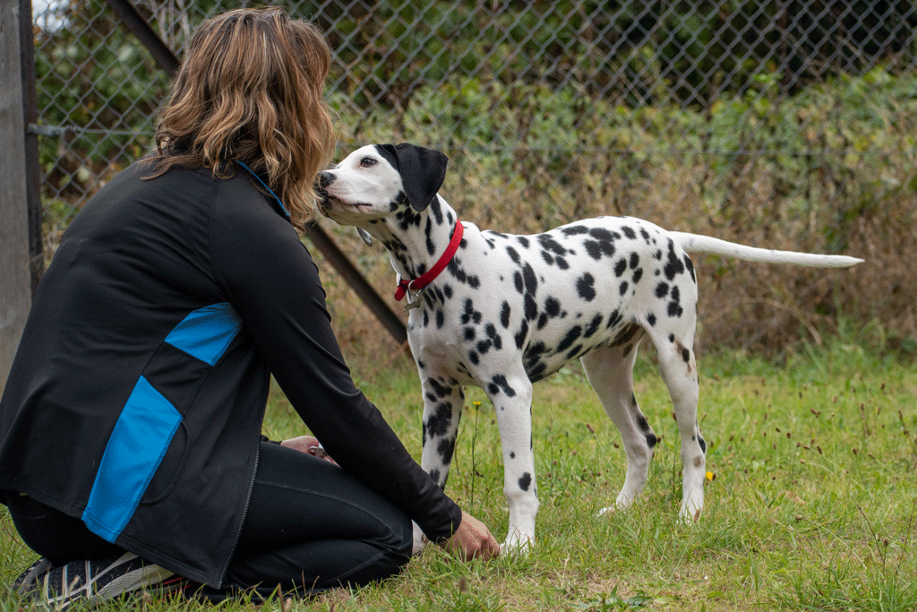 Claire kneeling with Dalmatian