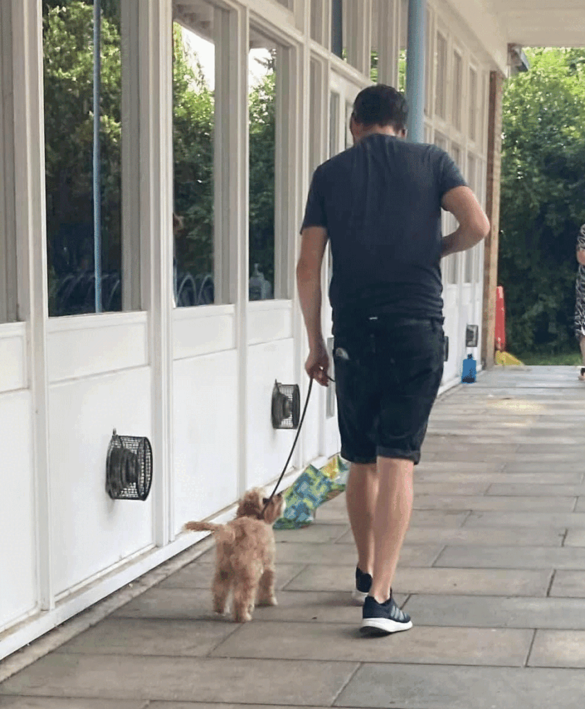 Man walking puppy outdoors